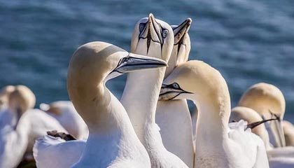 河北一收费站附近多辆车连撞？目击者称堵了5小时，交警回应：无人员受伤