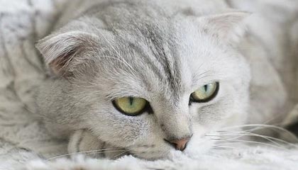 法院判了！新婚仅两月妻子患癌，丈夫逃避失联：构成遗弃罪