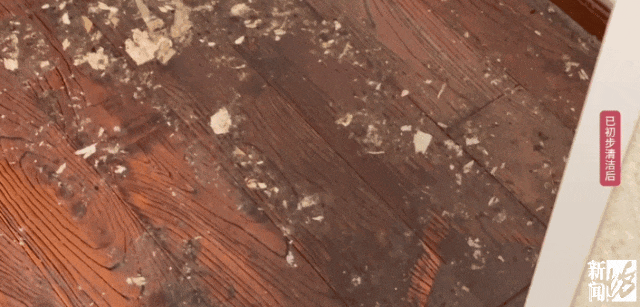 上海一业主推开家门瞬间懵了！精装房竟成“化粪池”……