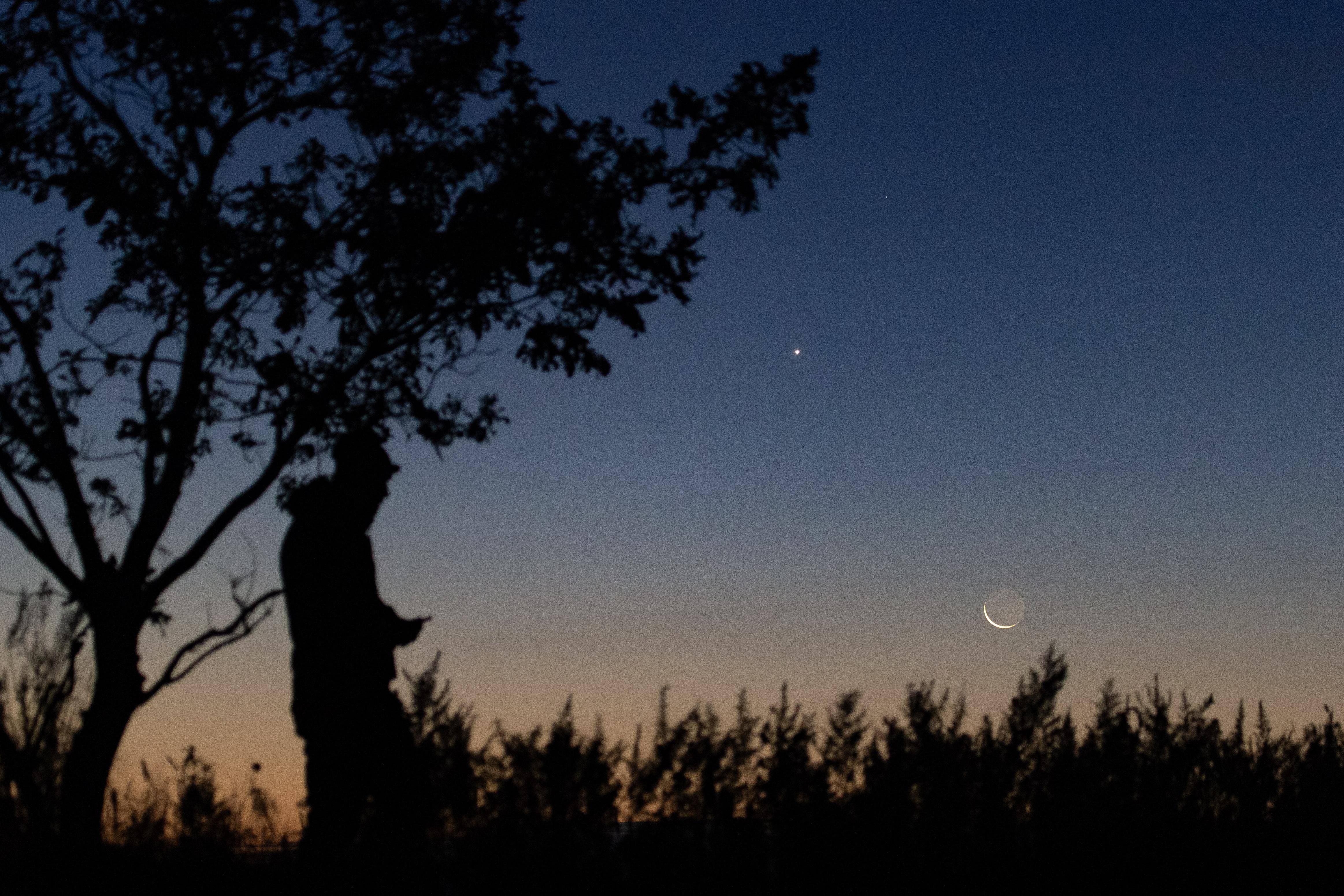 星空相册｜启明星伴月现身天宇#