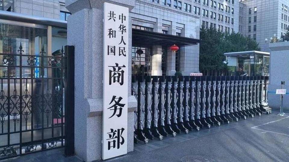 荷兰政府发现: 冻结闻泰股权事件并没按预期发展! 而是开始走向失控