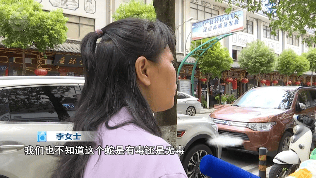 昆明一女子网购塑料凳，拆开竟发现一条蛇被胶带固定粘在椅子上，还在动！