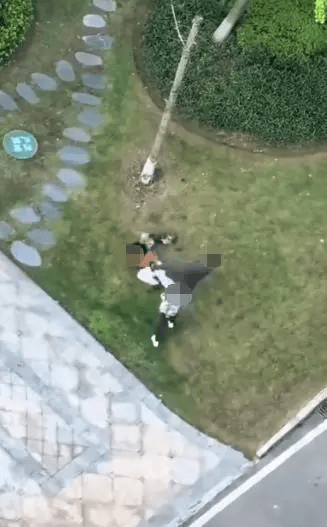 重庆一女子牵绳遛狗时被男子殴打，警方通报：已立案