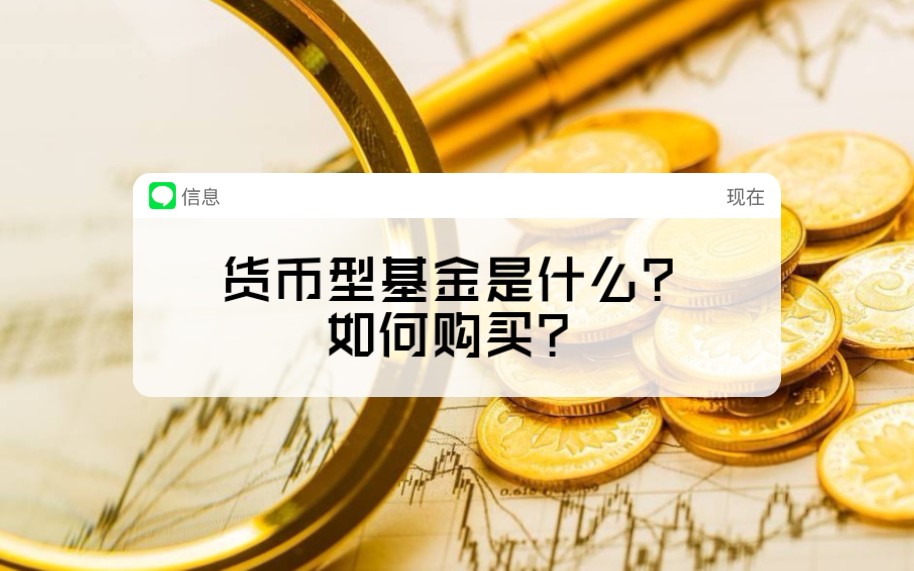 货币型(货币型基金不能投资公司债吗)