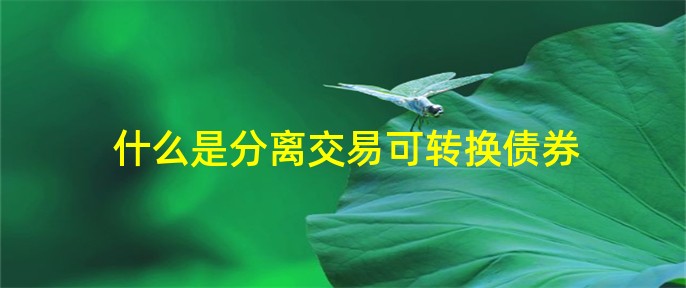 可转换债券交易(可转换债券交易费用的分摊)