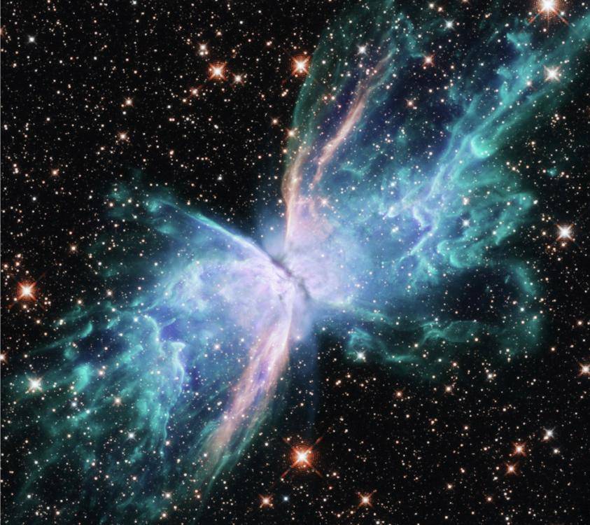 星云币(星云币有投资价值吗)