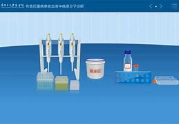 虚拟软件下载(虚拟机app下载)