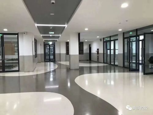 魔石软件(魔石软件怎么做椭圆形的注册章)
